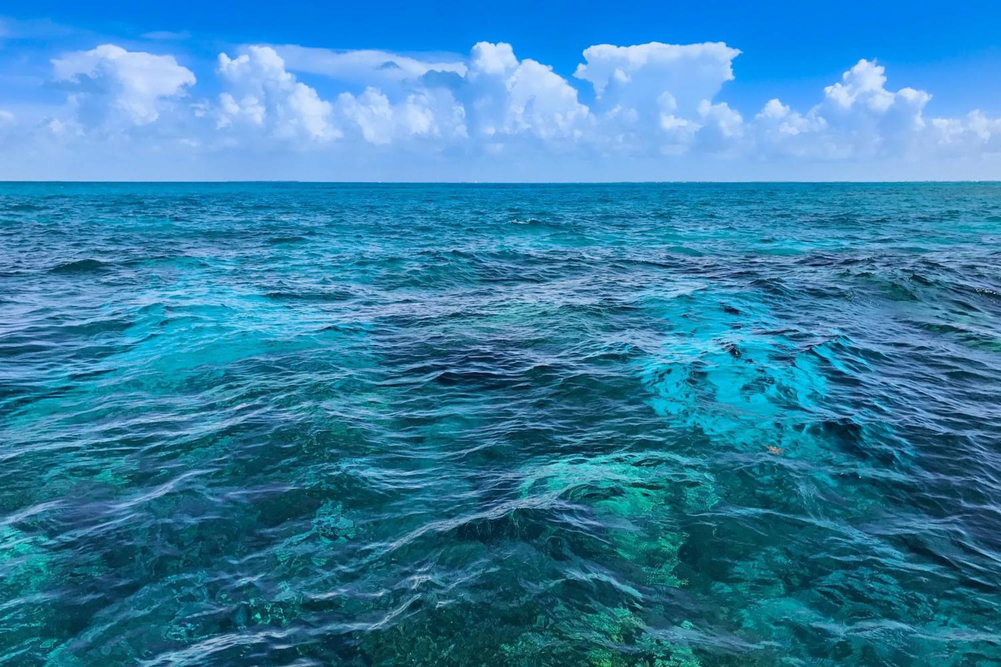 Sunrise Suites - Sea Breeze Suite 101 Key West Værelse billede